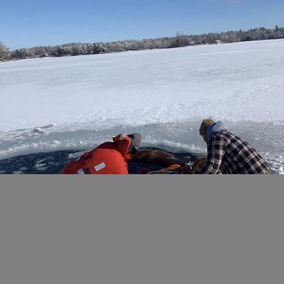 Buzun kırılmasıyla donmuş göle düşen at böyle kurtarıldı