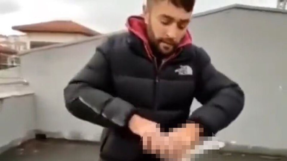 Güvercinin başını koparan caniye para cezası!