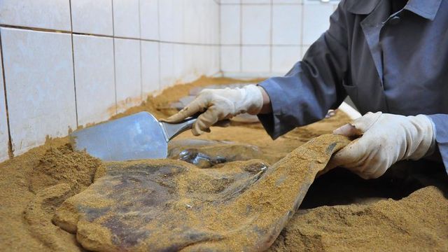 7 ton saçılacak... Yapımına başlandı