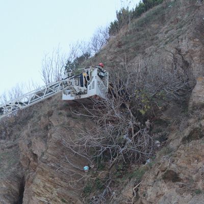 Genç kız, uçurumdan düşerek ağaca takıldı!