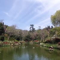 Yıldız Parkı'na nasıl gidilir?