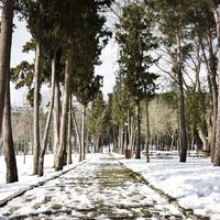 Emirgan Korusu'na nasıl gidilir?