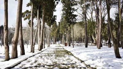 Emirgan Korusu'na nasıl gidilir?