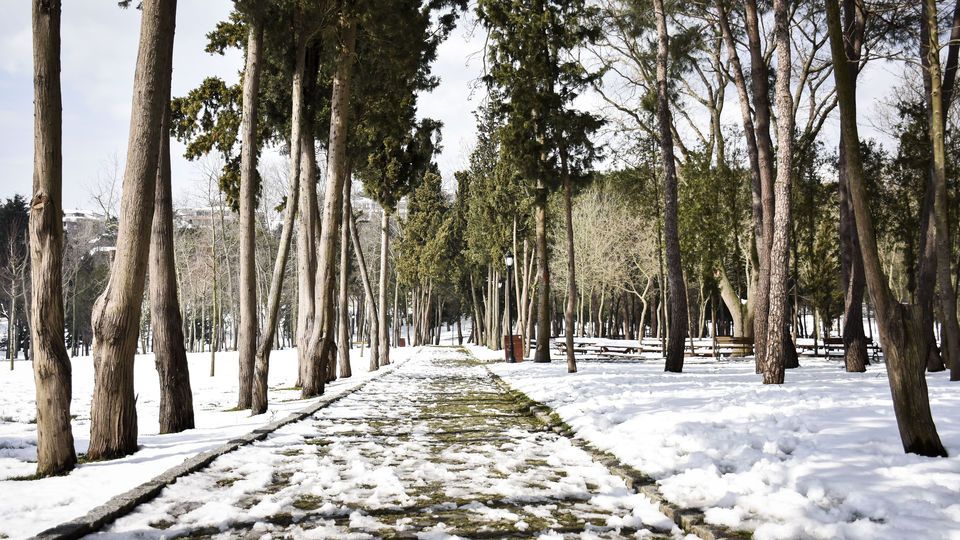 Emirgan Korusu'na nasıl gidilir?