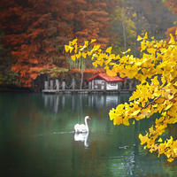 Atatürk Arboretumu'na nasıl gidilir?