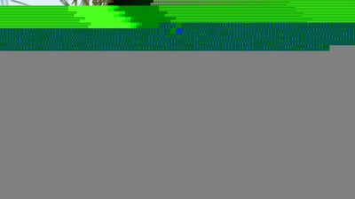 Çam fıstığı ne zaman toplanır?