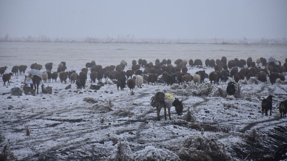 Meteoroloji açıkladı! Türkiye parçalı bulutlu