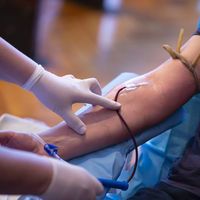 Kan verme şartları nelerdir?