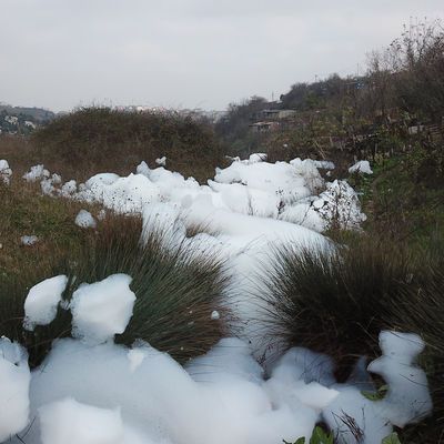 İstanbul'da şaşırtan görüntü! Mahalleyi köpük kapladı