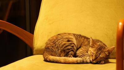 Rüyada Altın Küpe Görmek