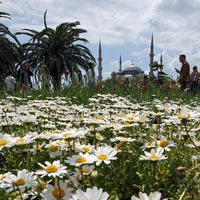 Gülhane Parkı'na Nasıl Gidilir?