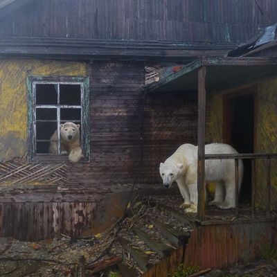 20 bin fotoğraf arasından seçildi... İşte 2022'nin en iyisi