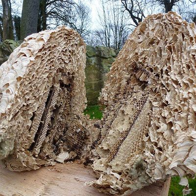 Tam ortadan ikiye ayrıldı! Sıra dışı manzara