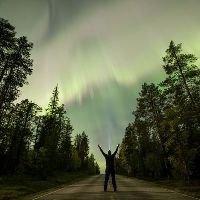 Finlandiya'da bir sene