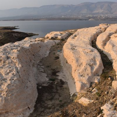 Hasankeyf'te keşfedildi, 800 yıllık çıktı