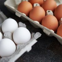 Beyaz ve kahverengi yumurtanın farkı nedir?