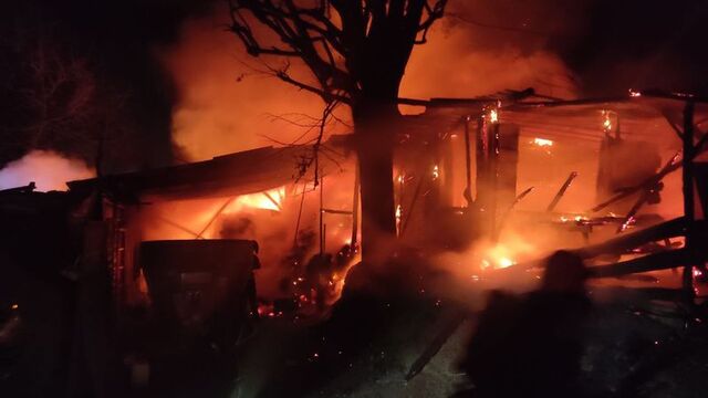 Kocaeli'de ahırda feci yangın: 30 tavuk öldü