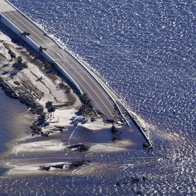 2022'nin en yıkıcı doğal afetleri