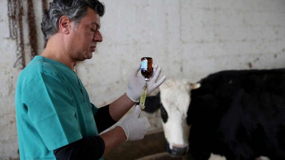 Seyhan Belediyesi'nden ücretsiz koruyucu hayvan sağlığı hizmeti