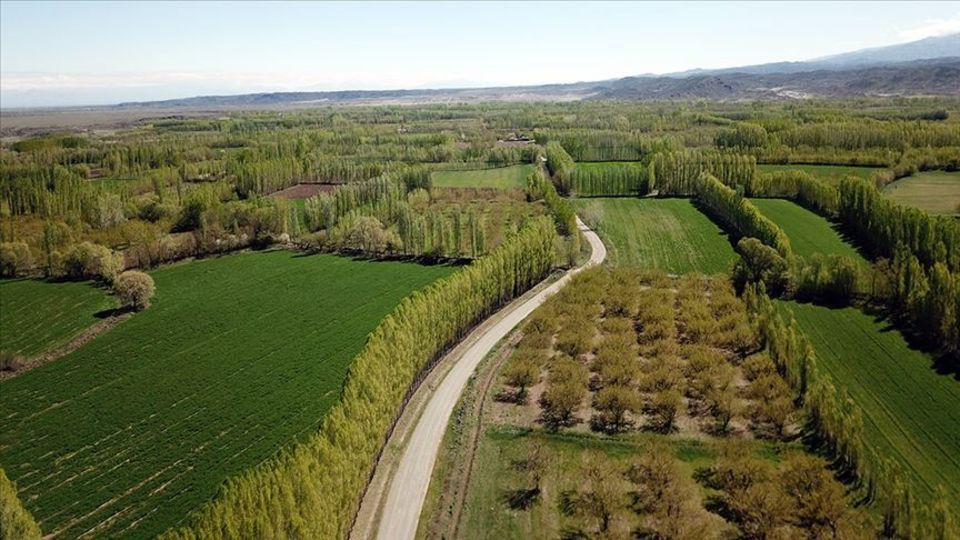 2/B ve tarım arazileri satışında son gün 31 Aralık