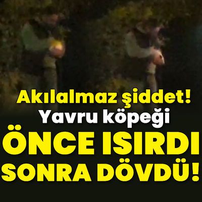 Akılalmaz şiddet! Yavru köpeği önce ısırdı, sonra dövdü