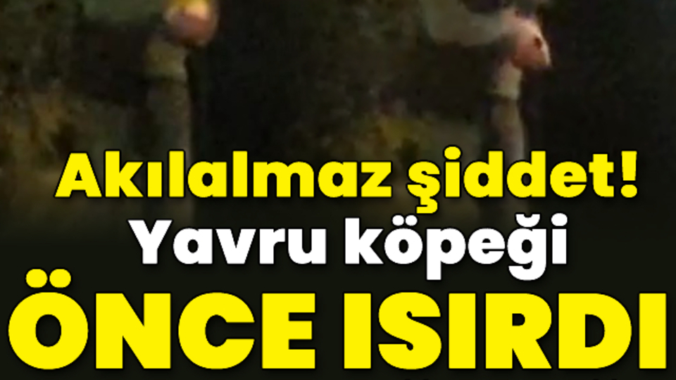 Akılalmaz şiddet! Yavru köpeği önce ısırdı, sonra dövdü