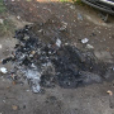 Tam bir kâbus! İstanbul'da köpeği yakarak öldürdüler