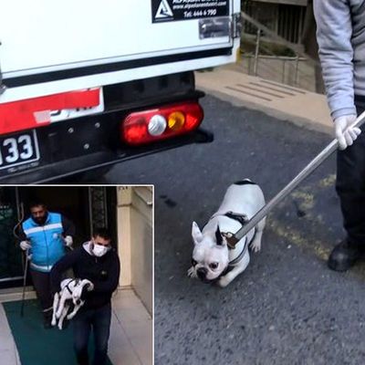 Sahipleri öldü! Polisi yaklaştırmadılar!