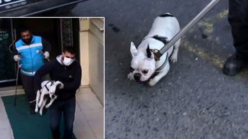 Sahipleri öldü! Polisi yaklaştırmadılar!