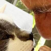 "Canımızdan bir can daha gitti"