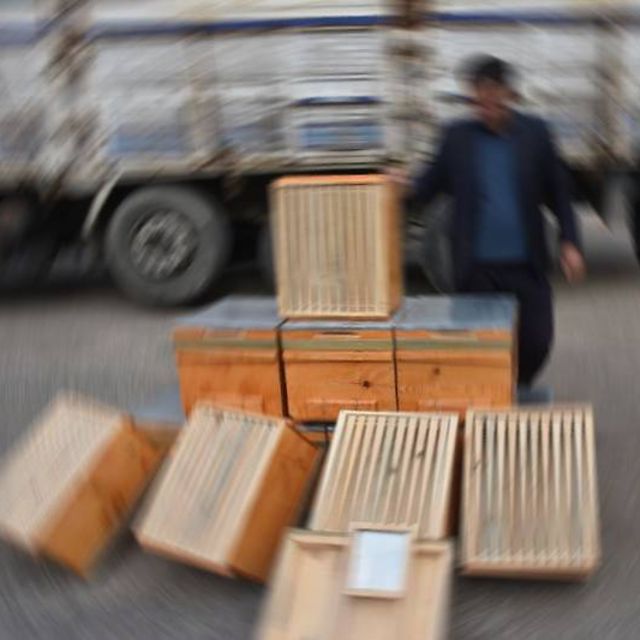 Adıyaman'da üreticilere arı kovanı