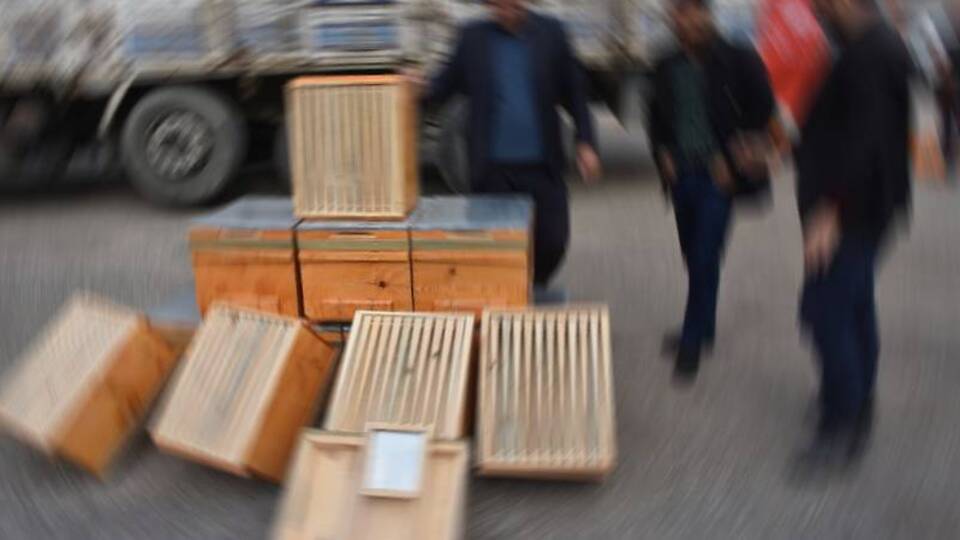 Adıyaman'da üreticilere arı kovanı