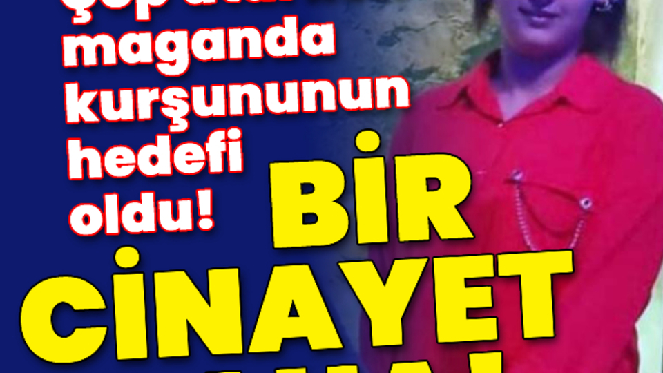 Çöp atarken maganda kurşununun hedefi oldu!