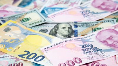 2022'de Euro yüzde 33 dolar yüzde 41 yükseldi