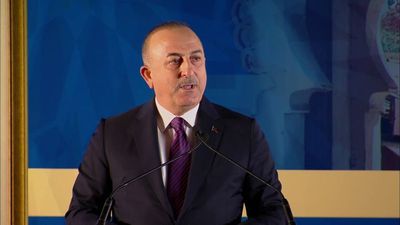 Çavuşoğlu, Brezilyalı mevkidaşı Vieira ile görüştü