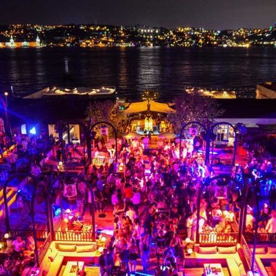 Konser ve festivallere müzik düzenlemesi