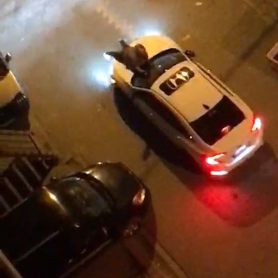 Kendisini polise şikayet eden kişiyi kaputta sürükledi!