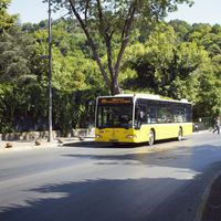 D sınıfı ehliyet hangi araçları kullanır?