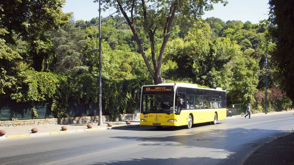 D sınıfı ehliyet hangi araçları kullanır?