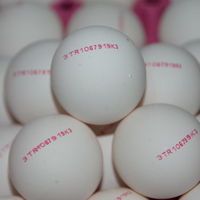 Yumurtanın üzerinde bulunan numaraların anlamına dikkat edin!