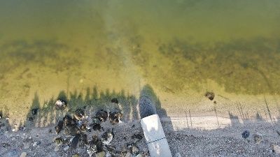 Küçükçekmece Gölü'nün MR'ı çekildi! Prof. Dr. Albay: 1. derece sit alanı ilan edilmeli