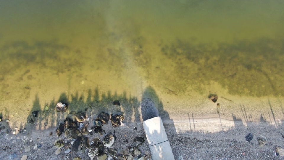 Küçükçekmece Gölü'nün MR'ı çekildi! Prof. Dr. Albay: 1. derece sit alanı ilan edilmeli