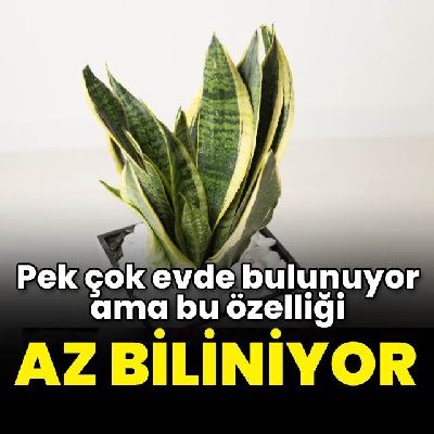 Pek çok evde bulunuyor ama bu özelliği az biliniyor
