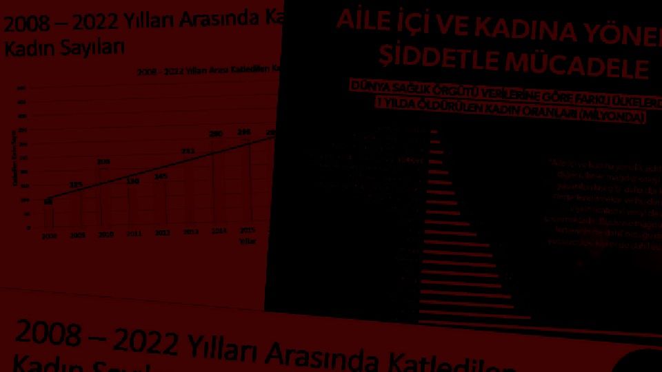 Kadın cinayetlerinde 14 yılda tüyler ürperten artış!