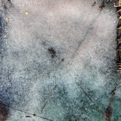 İstanbul'da kaydedildi! Sahili deniz anaları istila etti