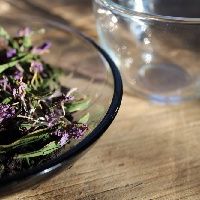 Karabaş otu çayının faydaları