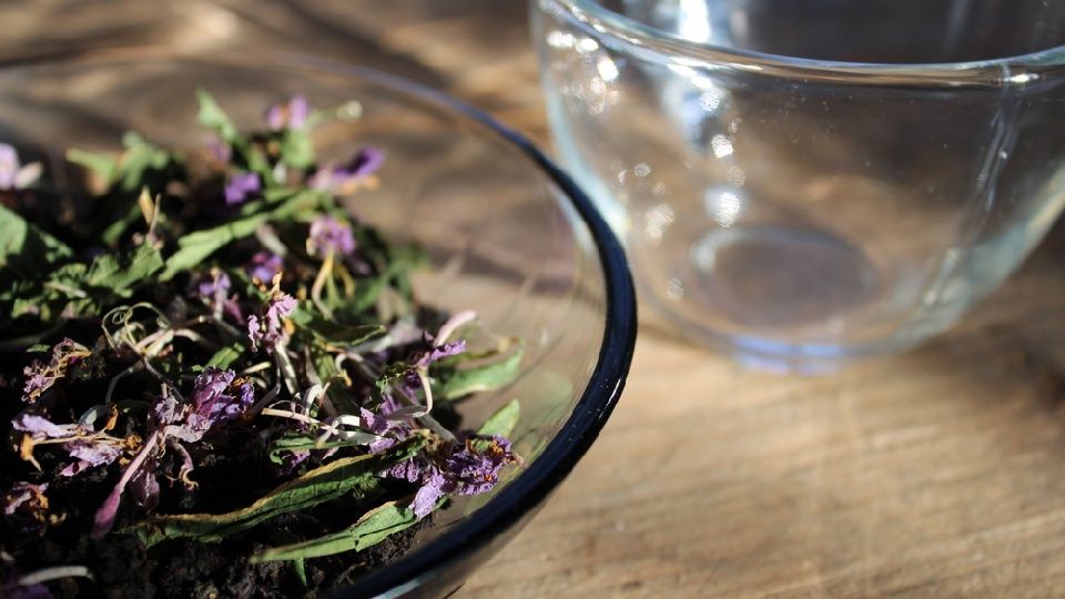 Karabaş otu çayının faydaları