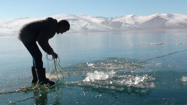 Ağlar suya bırakıldı! Eskimo usulü balık avlıyorlar