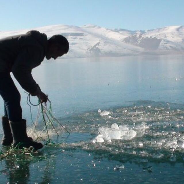 Ağlar suya bırakıldı! Eskimo usulü balık avlıyorlar