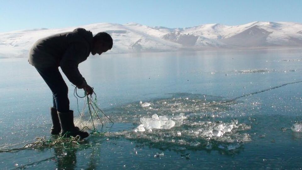 Ağlar suya bırakıldı! Eskimo usulü balık avlıyorlar